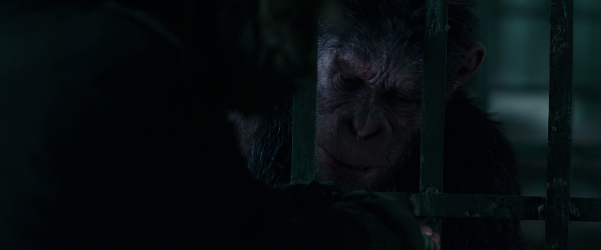 War for the Planet of the Apes (2017) screencap 10953