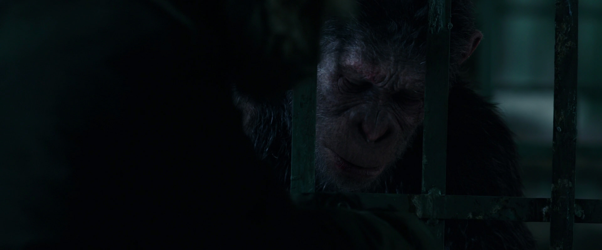 War for the Planet of the Apes (2017) movie still 10954
