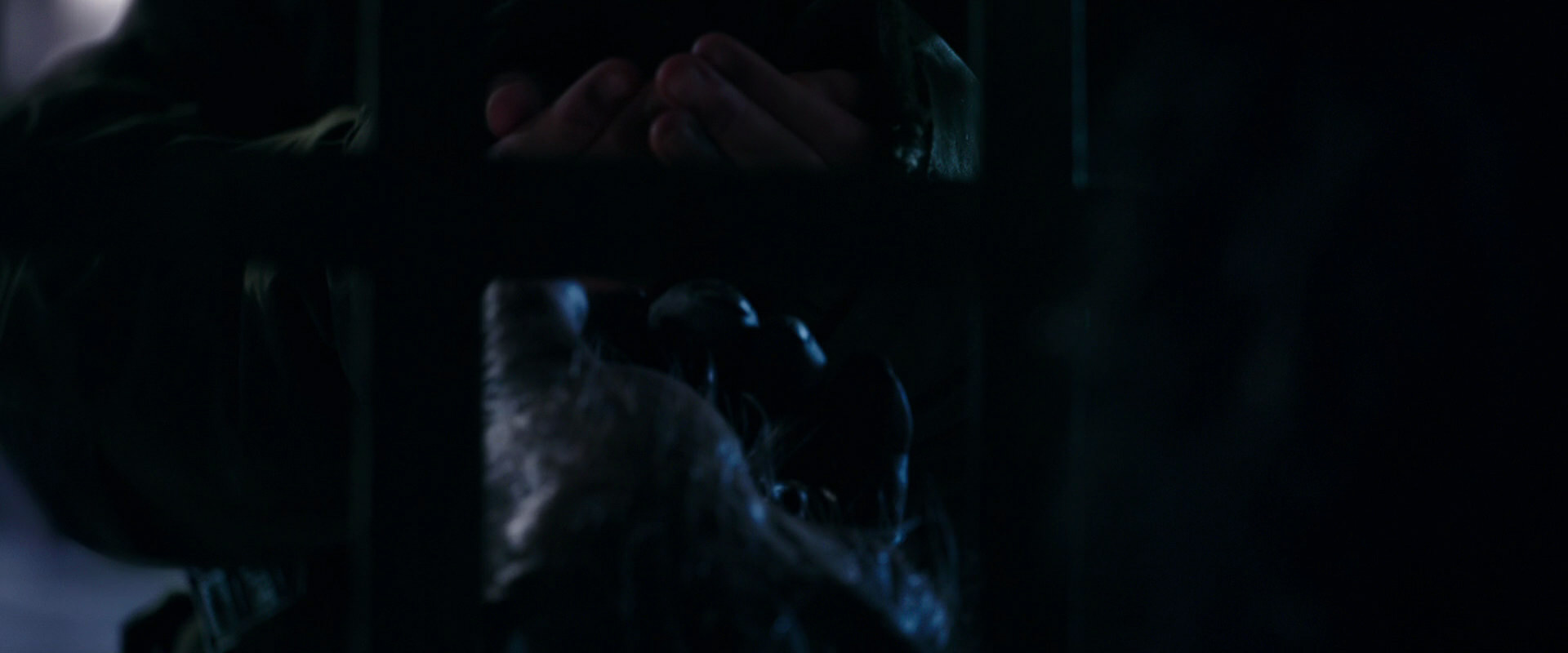 War for the Planet of the Apes (2017) HD screenshot 10955