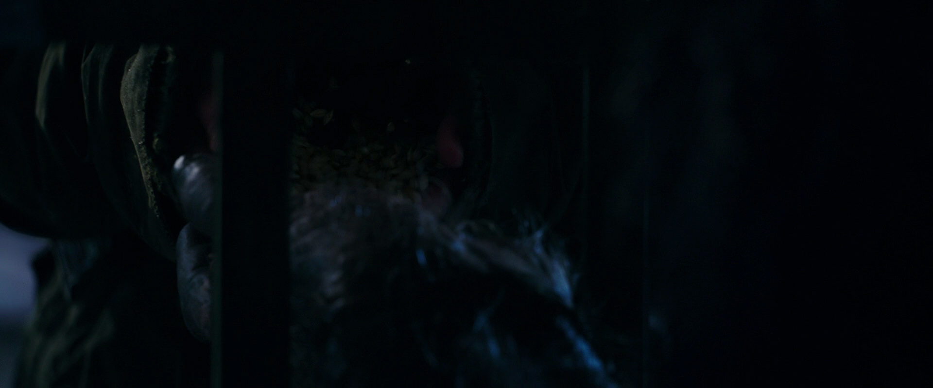 War for the Planet of the Apes (2017) screencap 10959