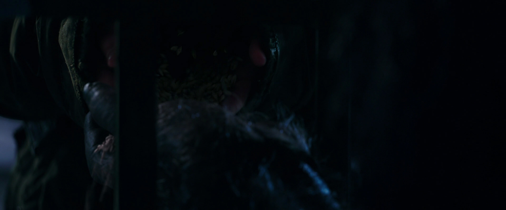 War for the Planet of the Apes (2017) movie still 10960