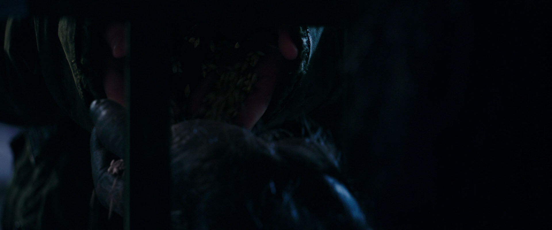 War for the Planet of the Apes (2017) HD screenshot 10961