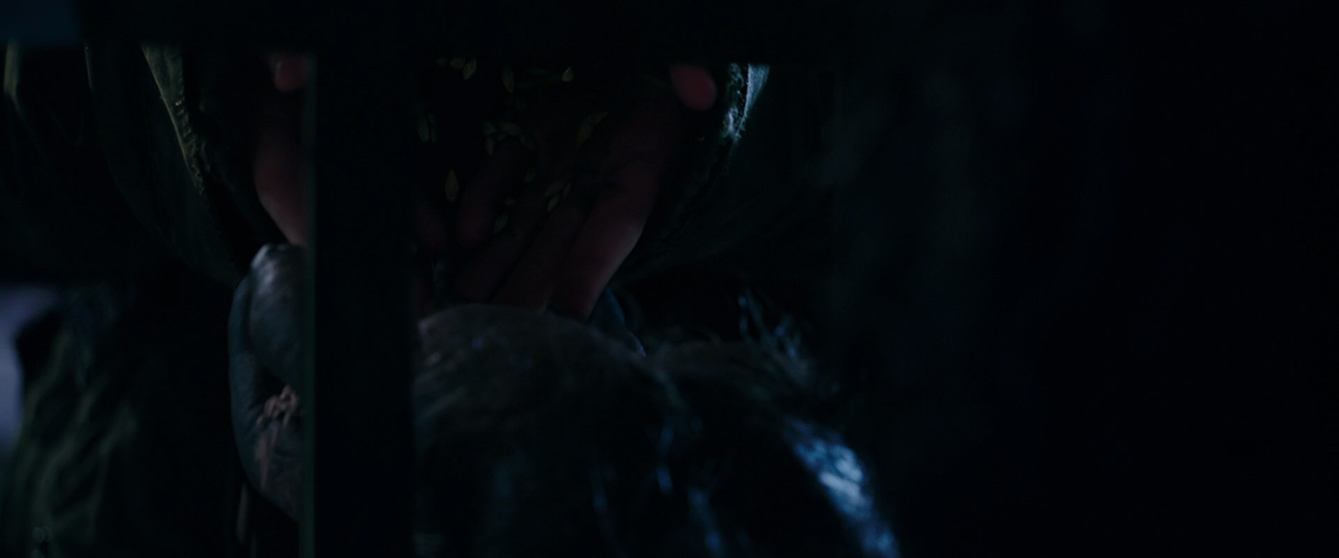 War for the Planet of the Apes (2017) screencap 10962