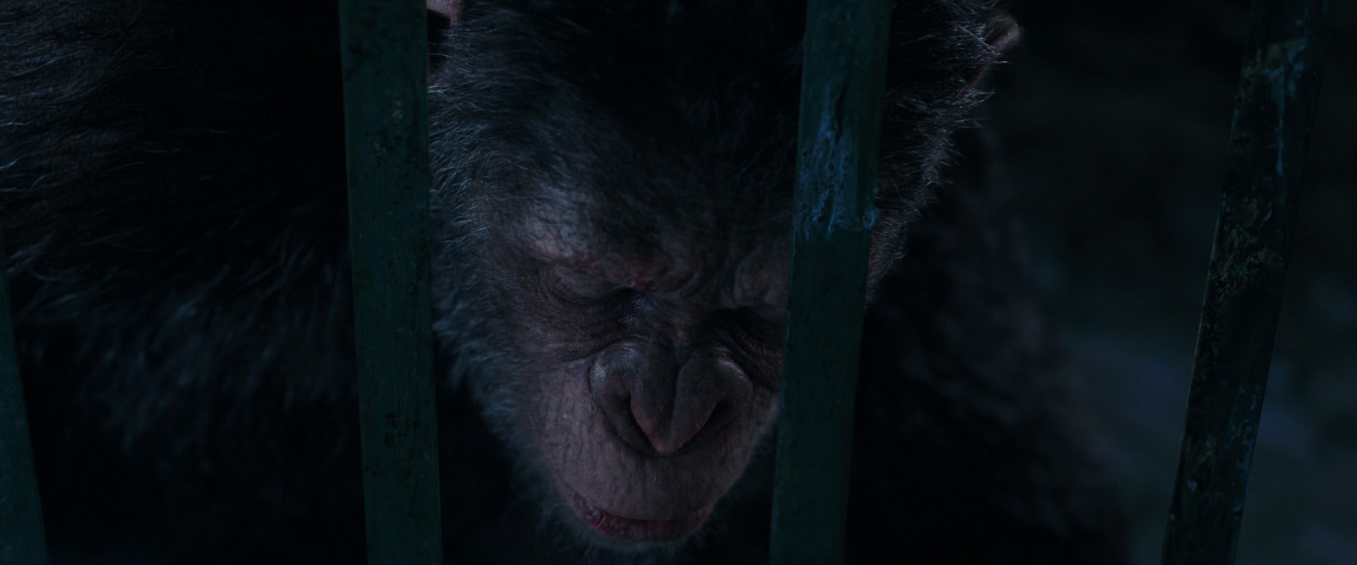 War for the Planet of the Apes (2017) movie still 10963