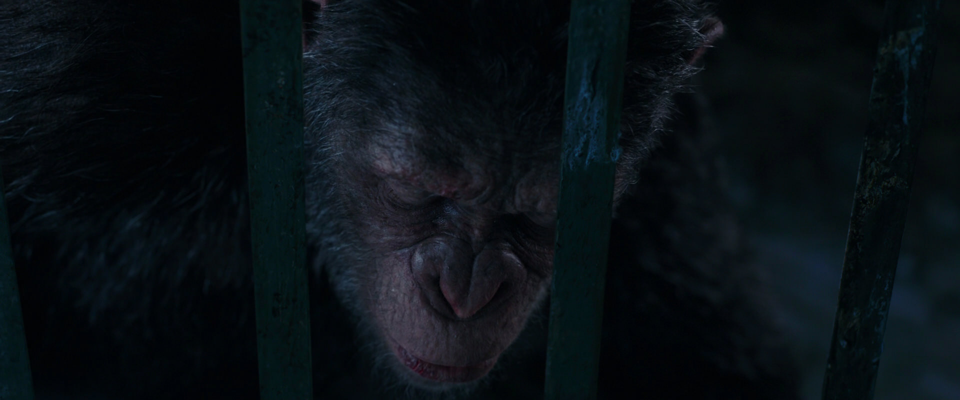 War for the Planet of the Apes (2017) HD screenshot 10964