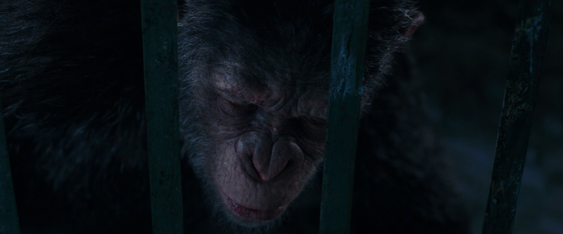 War for the Planet of the Apes (2017) screencap 10965