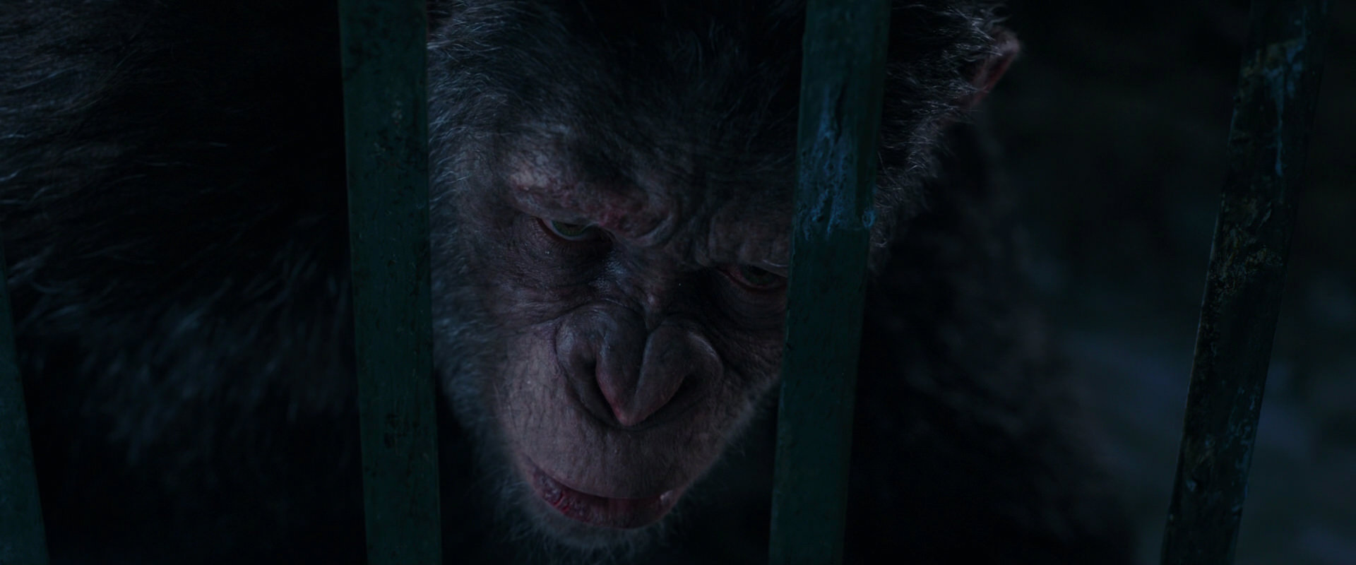 War for the Planet of the Apes (2017) movie still 10966