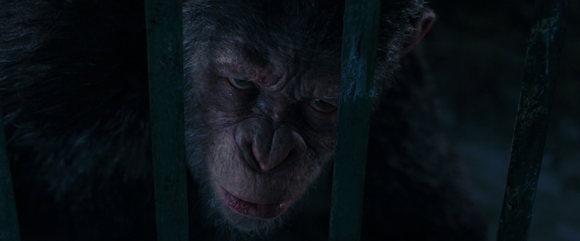 War for the Planet of the Apes (2017) HD screenshot 10967