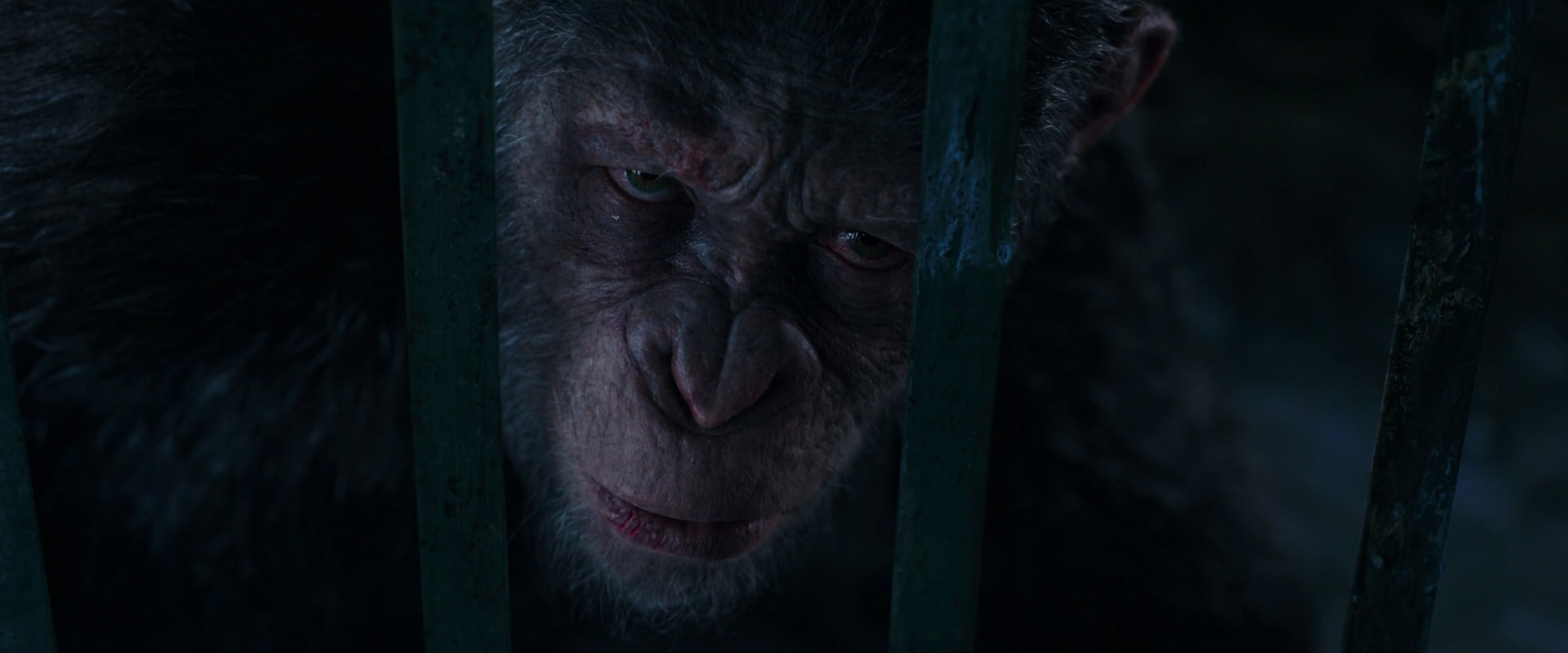 War for the Planet of the Apes (2017) screencap 10968