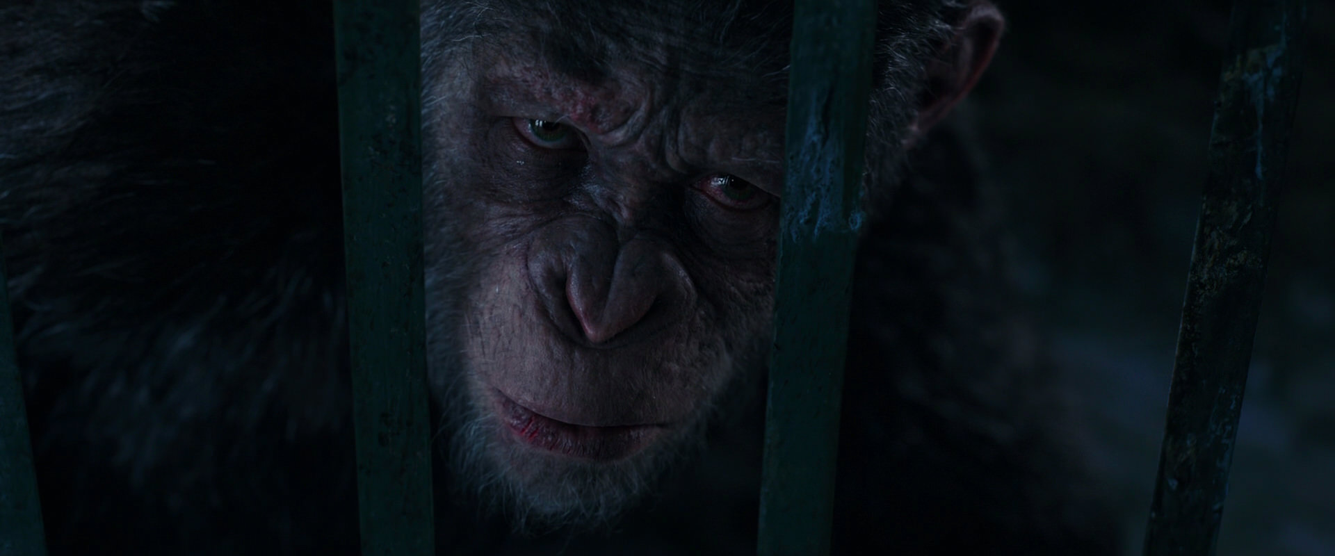 War for the Planet of the Apes (2017) movie still 10969
