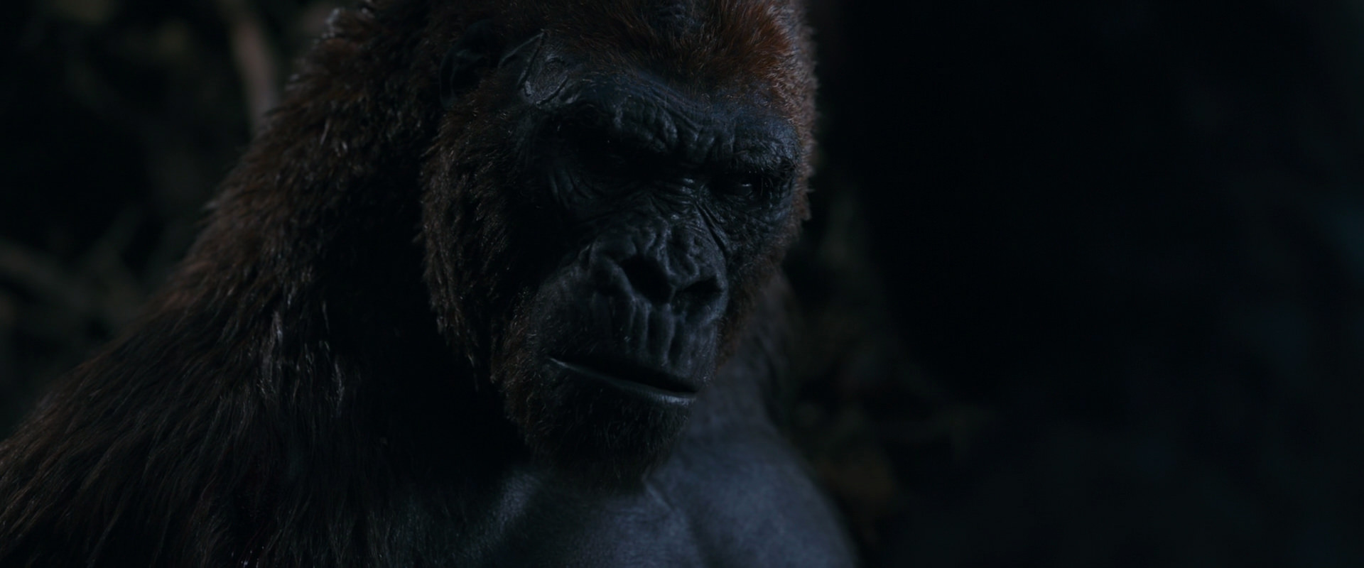 War for the Planet of the Apes (2017) HD screenshot 1097