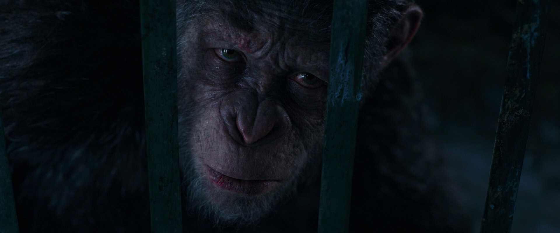War for the Planet of the Apes (2017) HD screenshot 10970