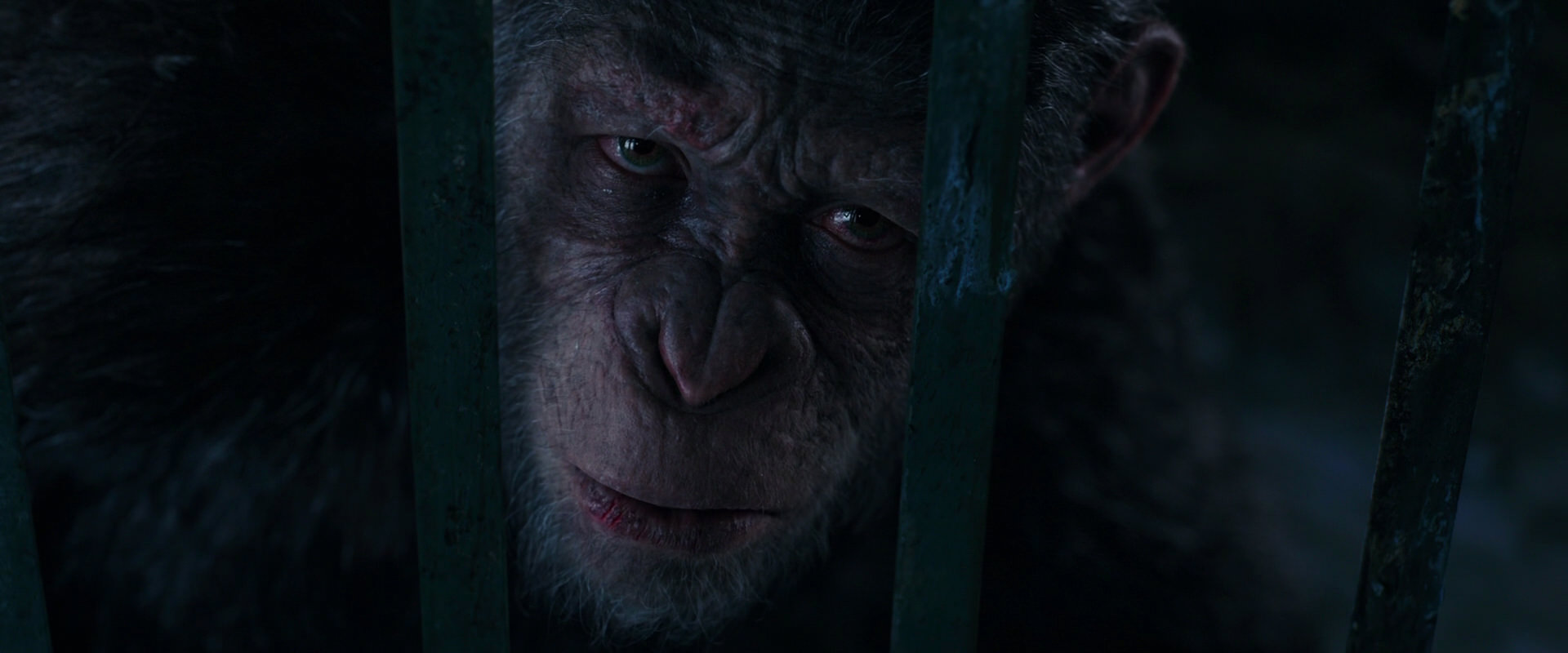 War for the Planet of the Apes (2017) screencap 10971