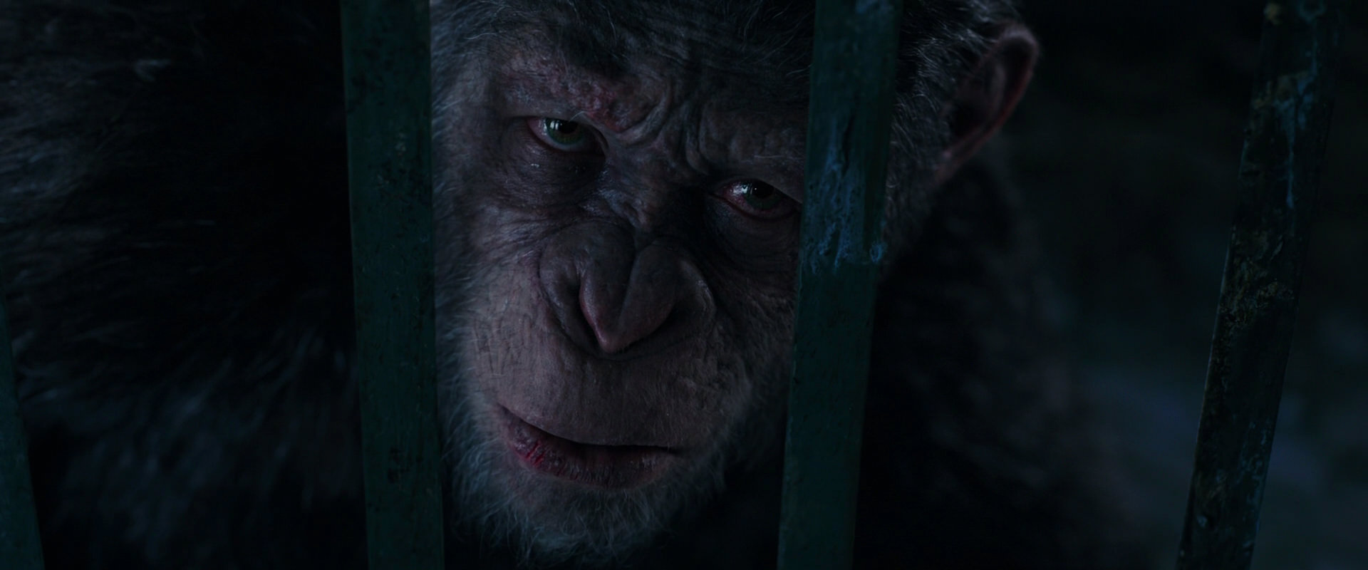War for the Planet of the Apes (2017) movie still 10972
