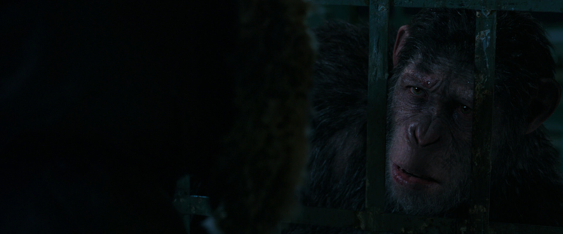 War for the Planet of the Apes (2017) screencap 10977