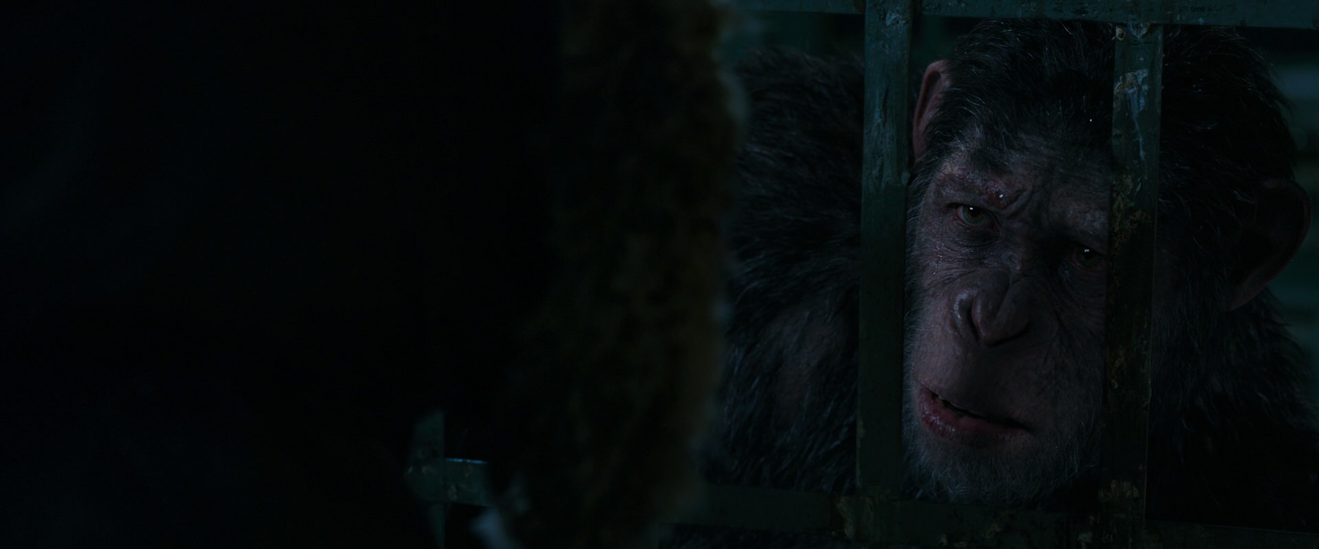 War for the Planet of the Apes (2017) movie still 10978