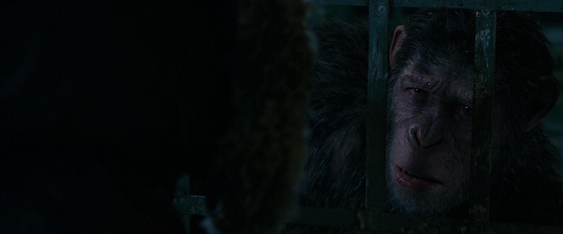 War for the Planet of the Apes (2017) HD screenshot 10979