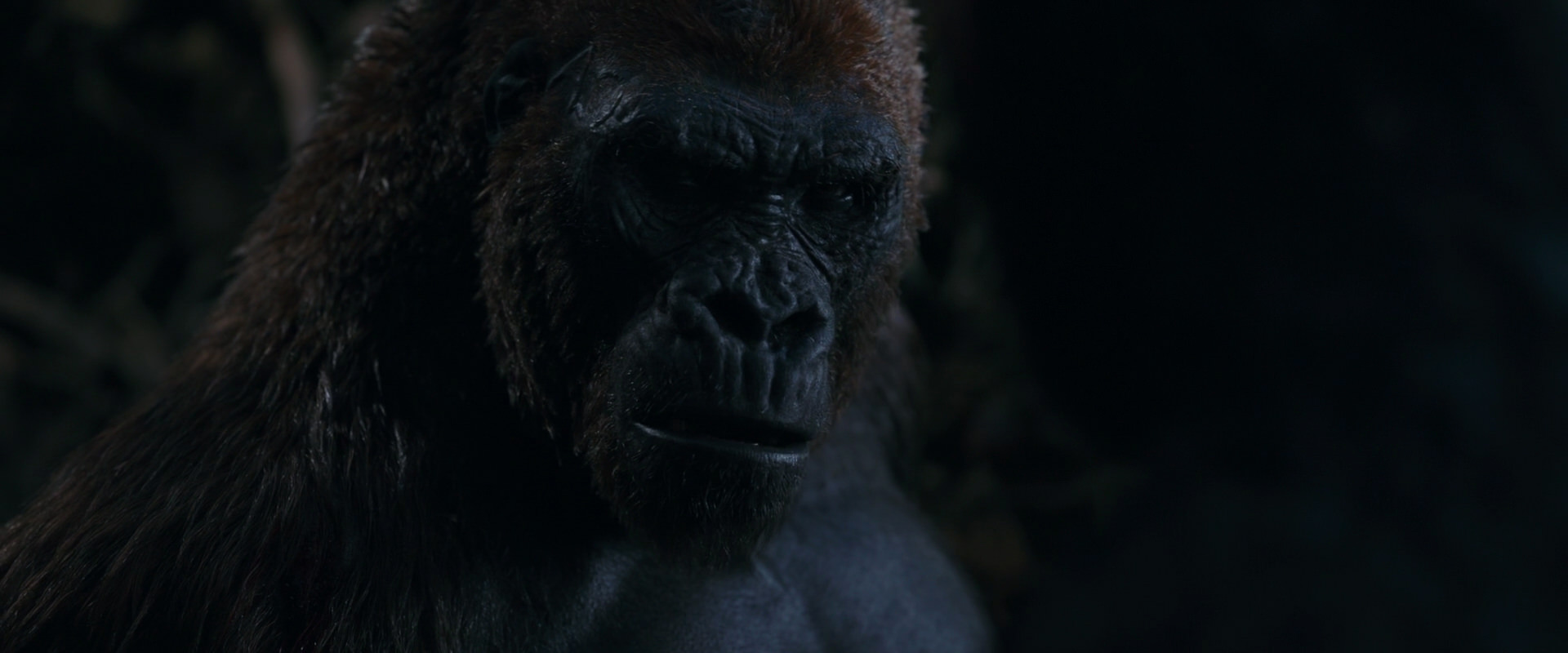 War for the Planet of the Apes (2017) screencap 1098