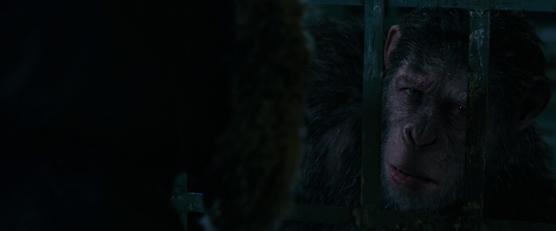 War for the Planet of the Apes (2017) screencap 10980