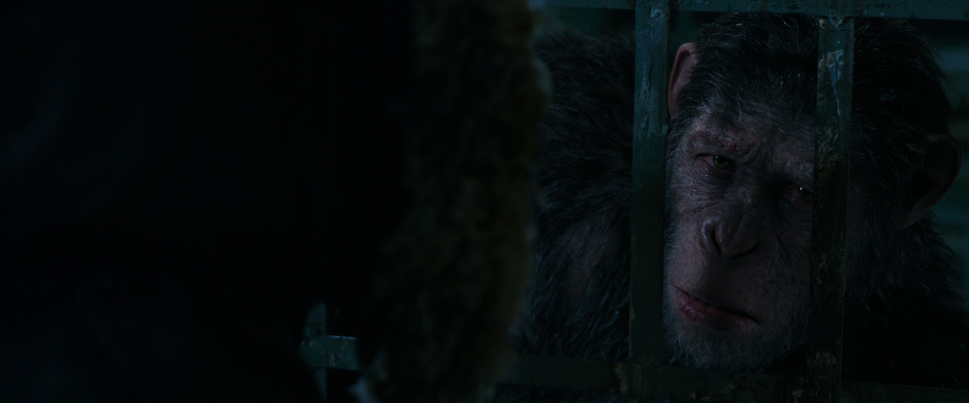 War for the Planet of the Apes (2017) movie still 10981