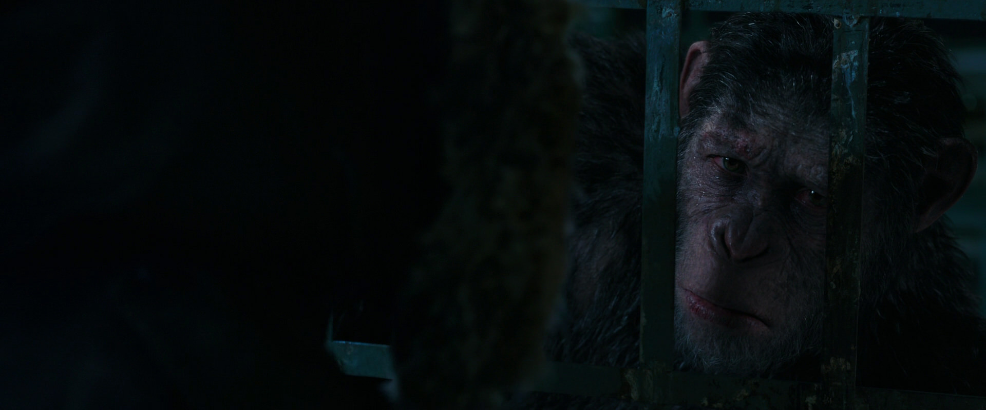 War for the Planet of the Apes (2017) HD screenshot 10982