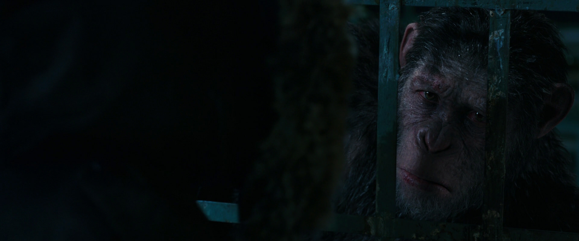 War for the Planet of the Apes (2017) screencap 10983