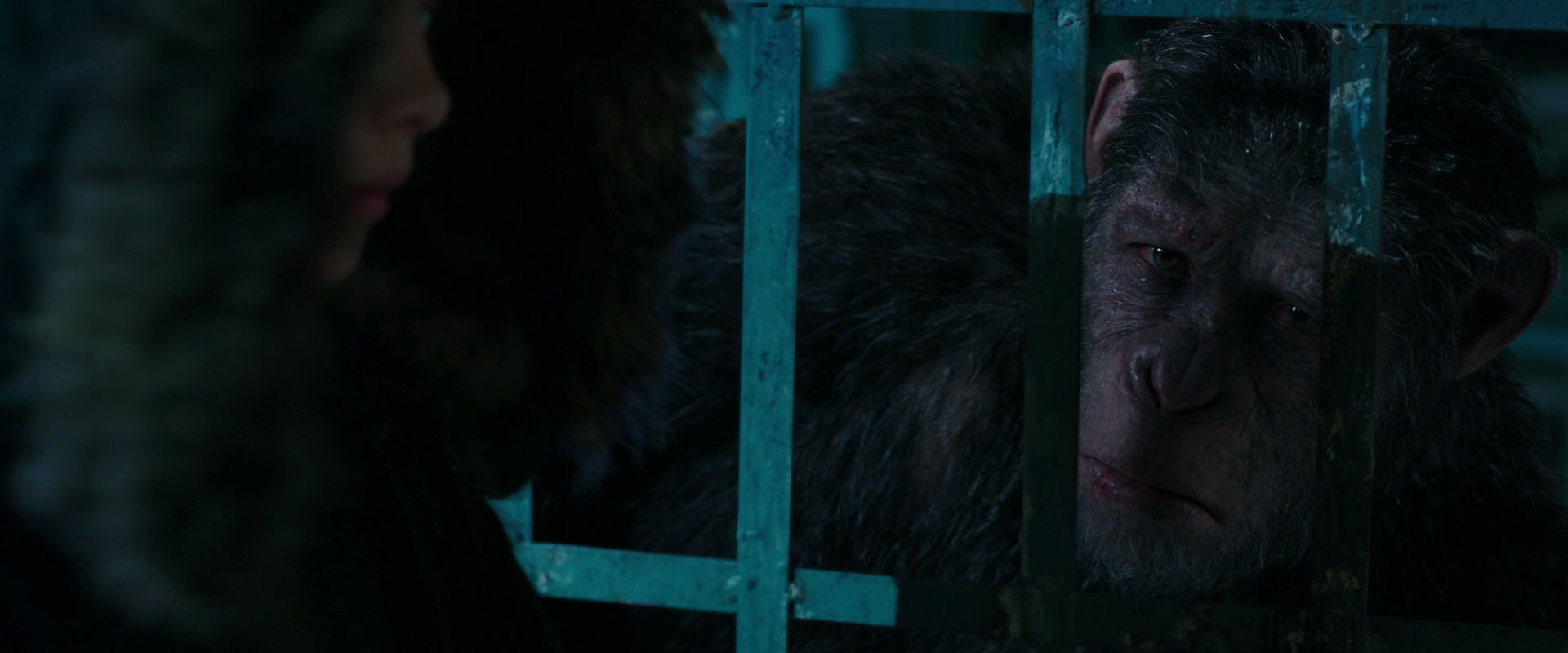 War for the Planet of the Apes (2017) movie still 10984