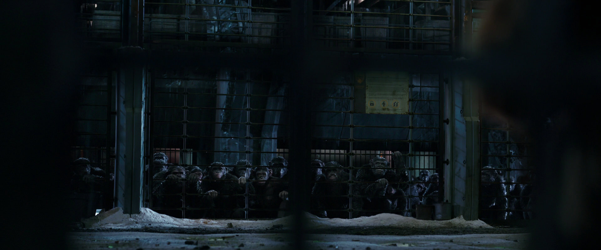 War for the Planet of the Apes (2017) HD screenshot 10988