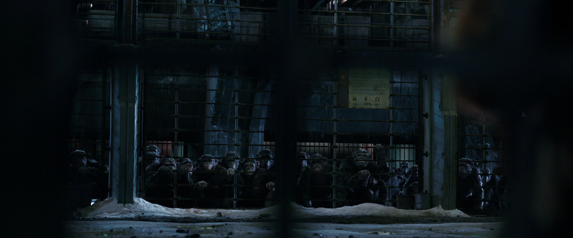 War for the Planet of the Apes (2017) screencap 10989