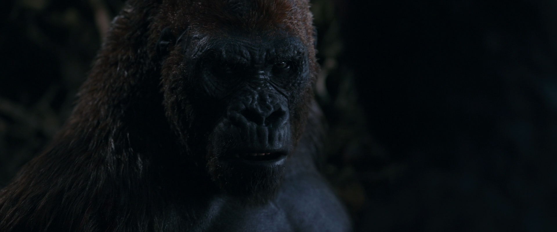 War for the Planet of the Apes (2017) movie still 1099