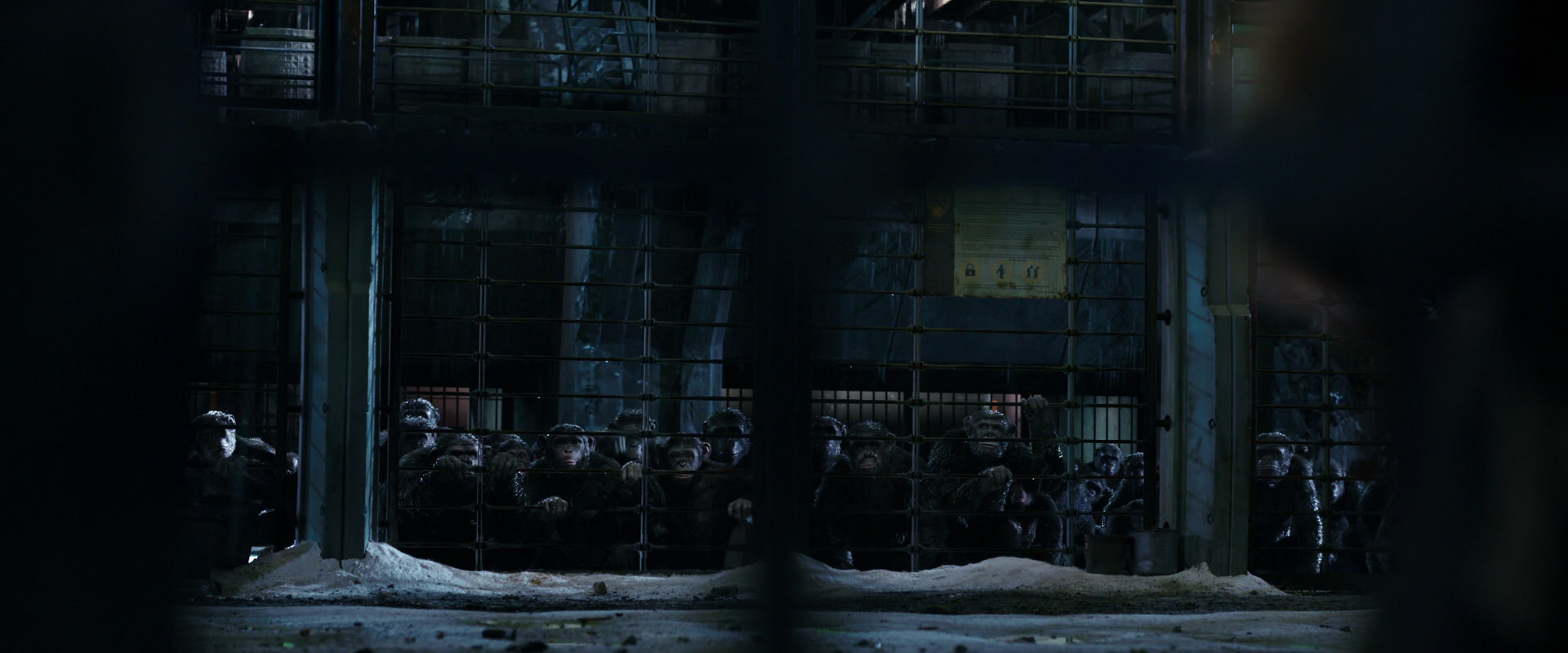 War for the Planet of the Apes (2017) movie still 10990