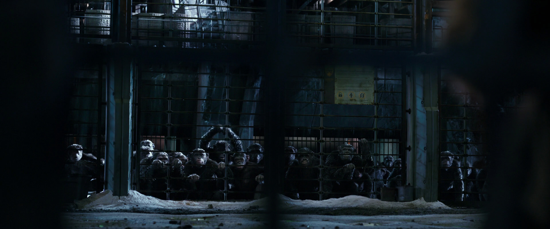 War for the Planet of the Apes (2017) HD screenshot 10991