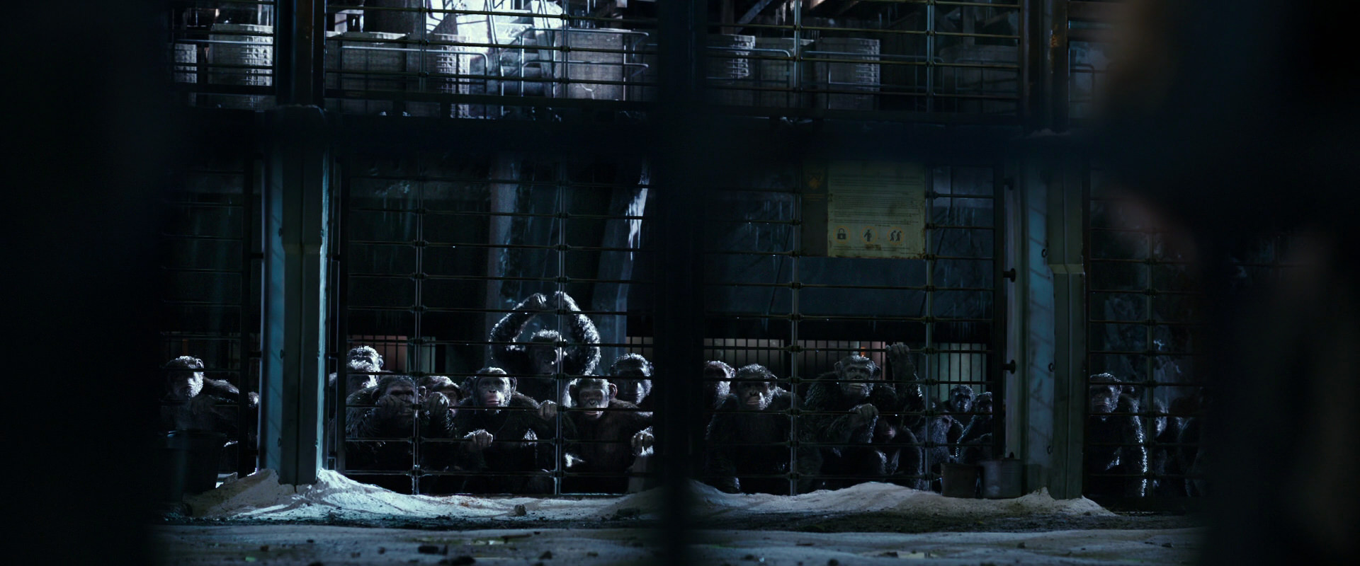 War for the Planet of the Apes (2017) screencap 10992