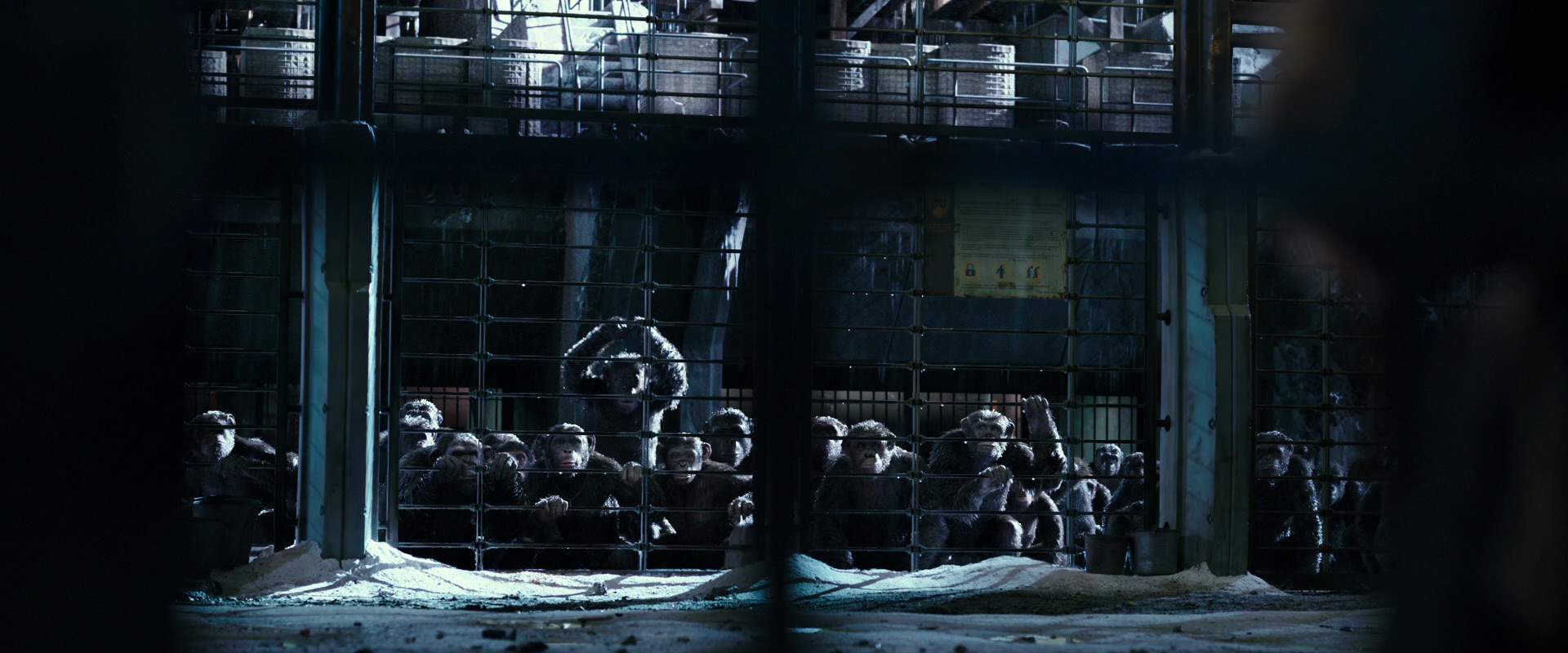 War for the Planet of the Apes (2017) movie still 10993