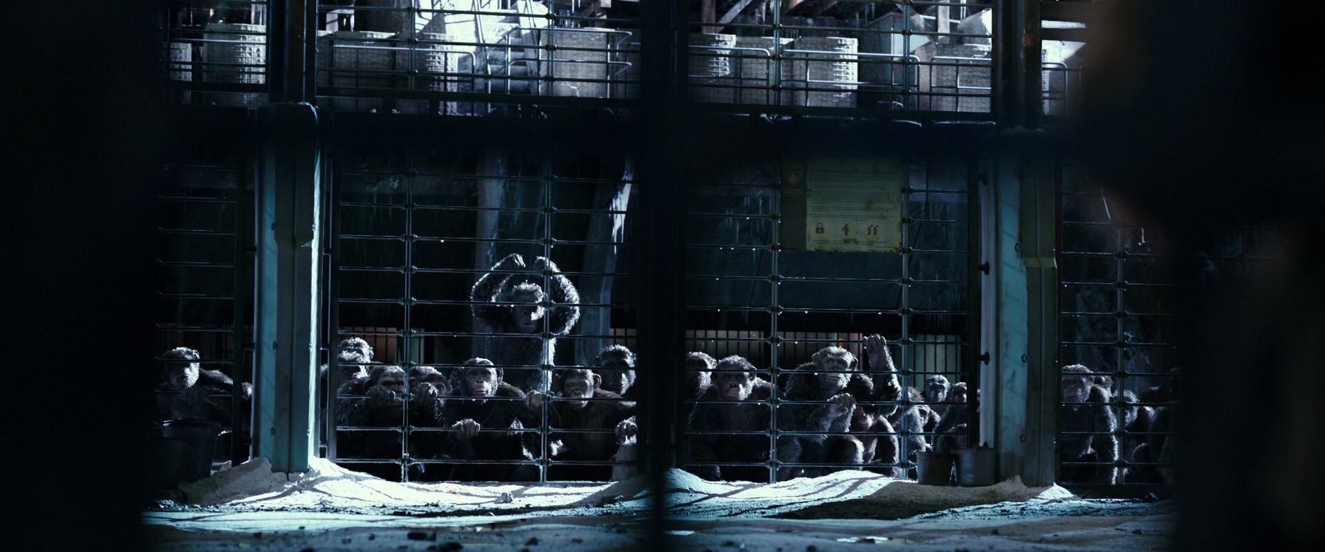 War for the Planet of the Apes (2017) HD screenshot 10994