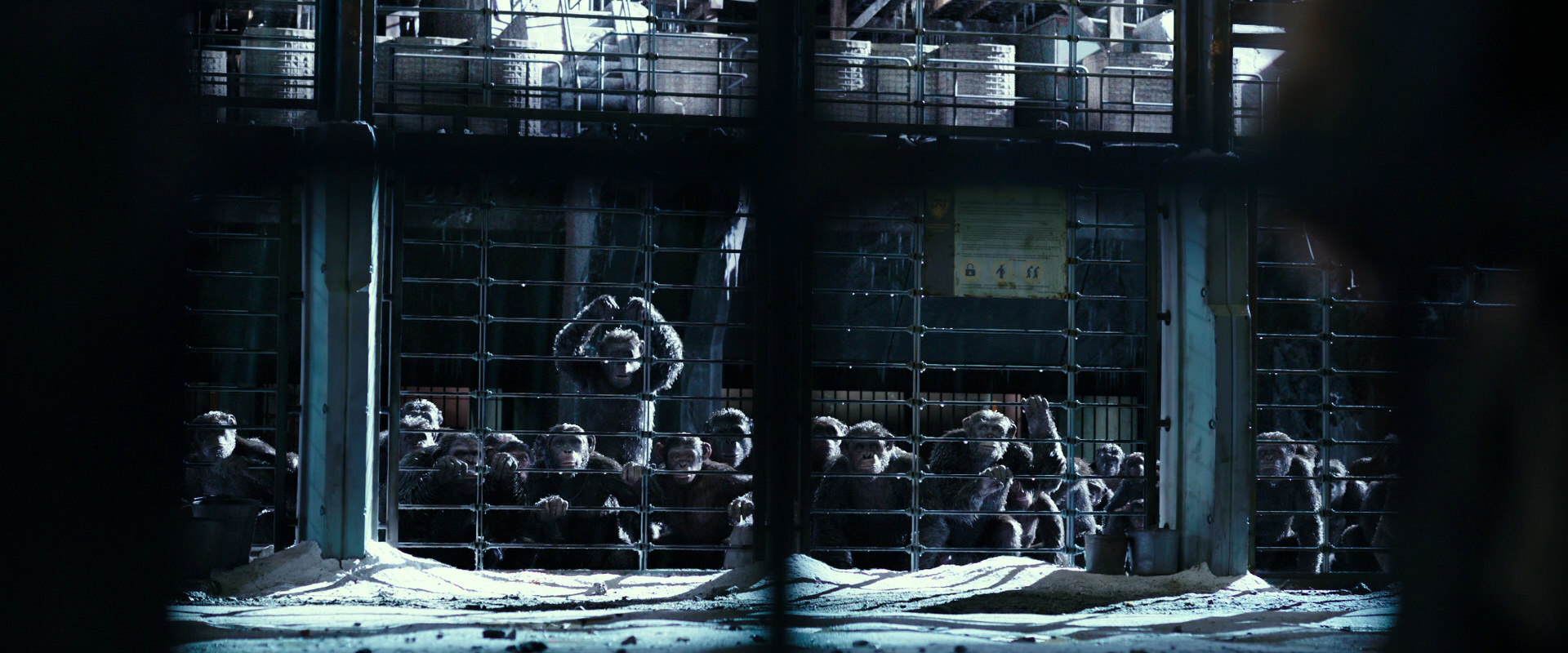 War for the Planet of the Apes (2017) screencap 10995