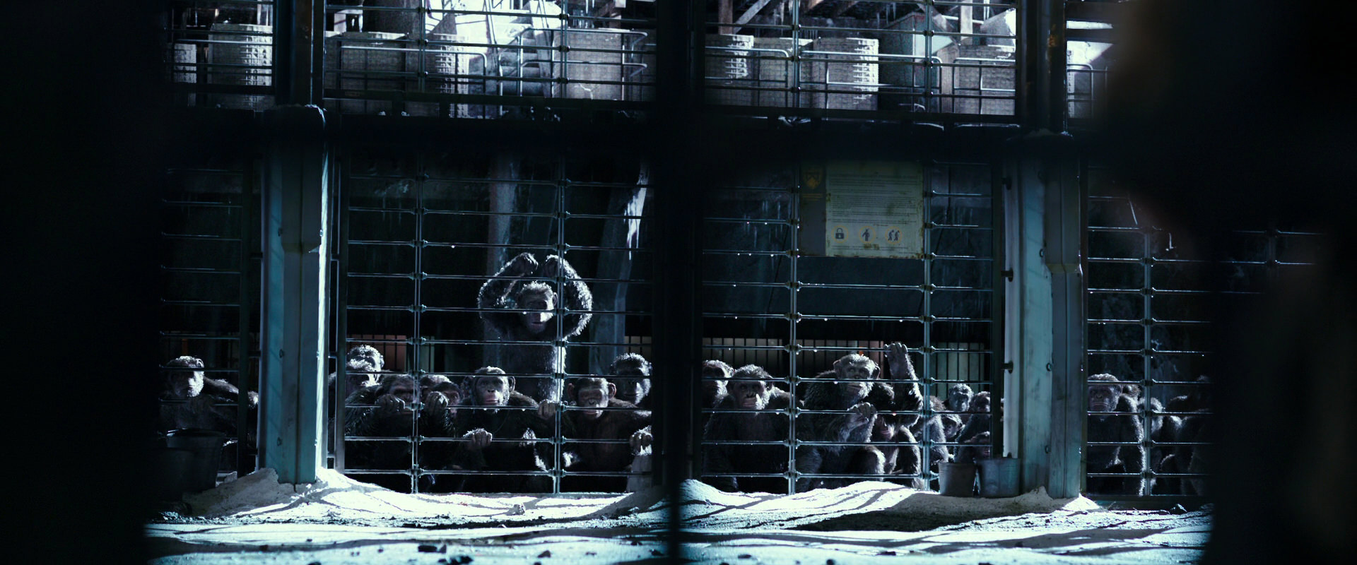 War for the Planet of the Apes (2017) movie still 10996