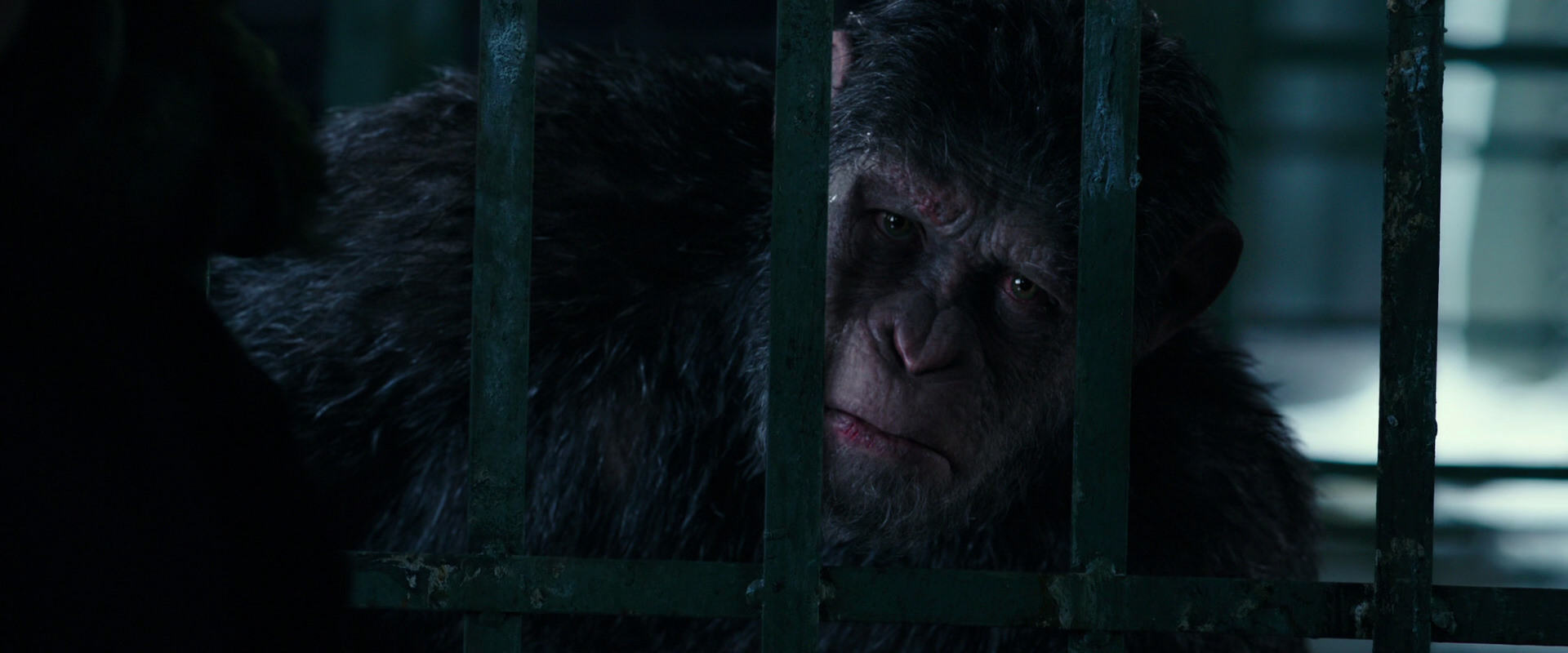 War for the Planet of the Apes (2017) HD screenshot 10997