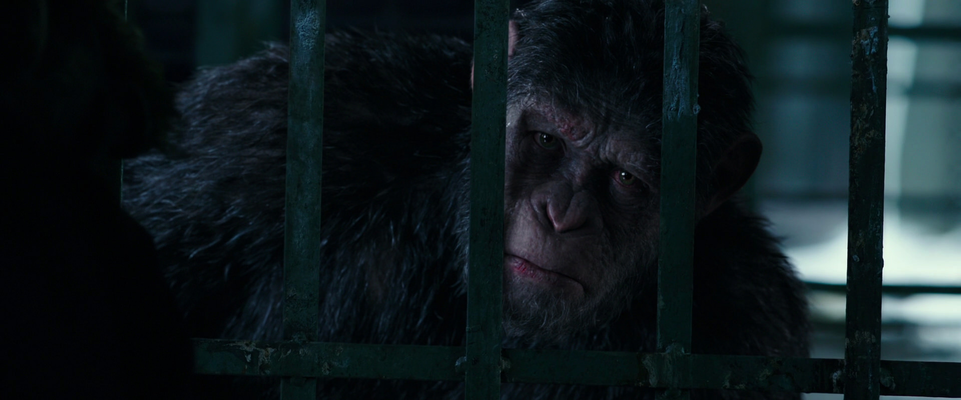 War for the Planet of the Apes (2017) screencap 10998