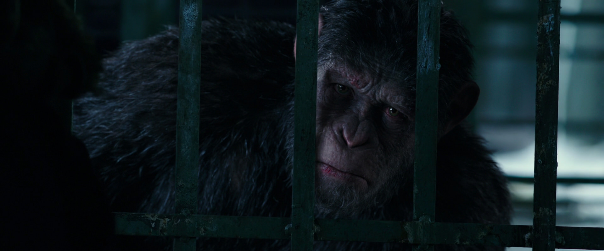 War for the Planet of the Apes (2017) movie still 10999