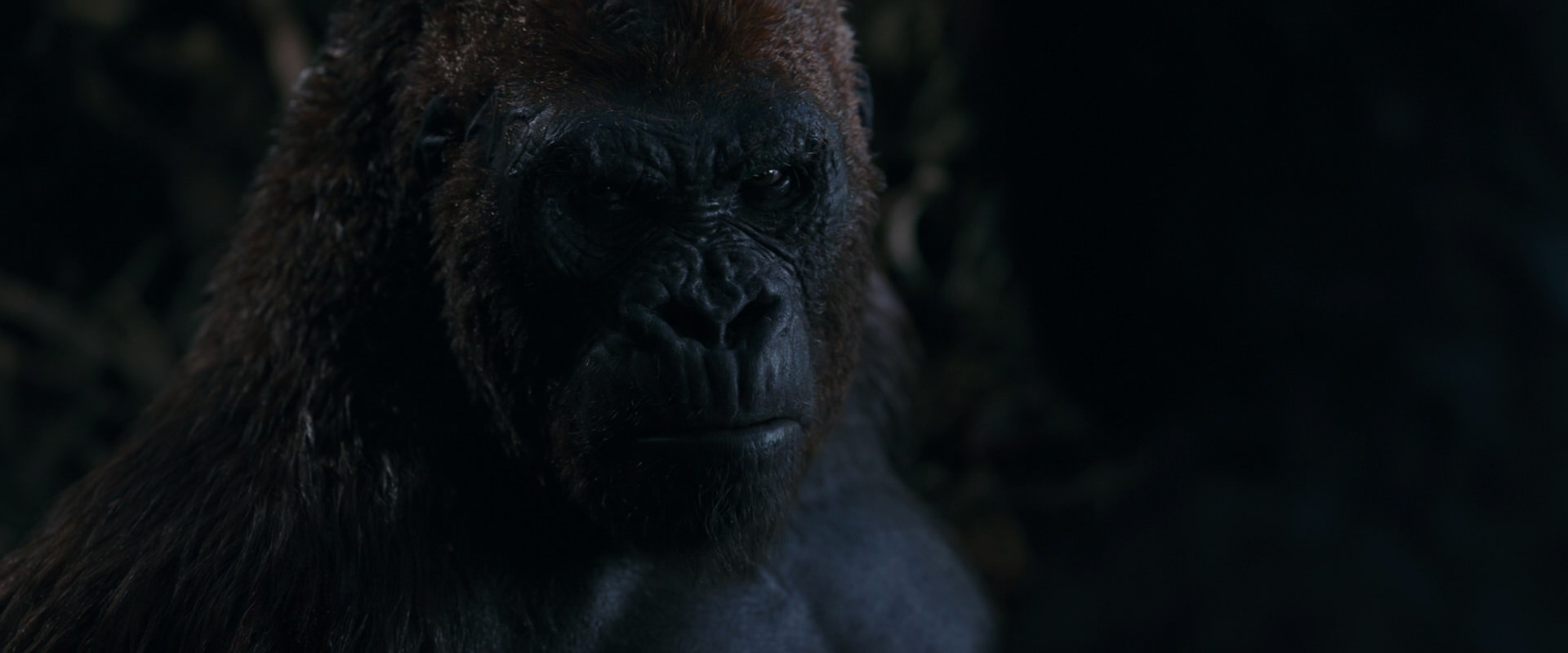 War for the Planet of the Apes (2017) HD screenshot 1100