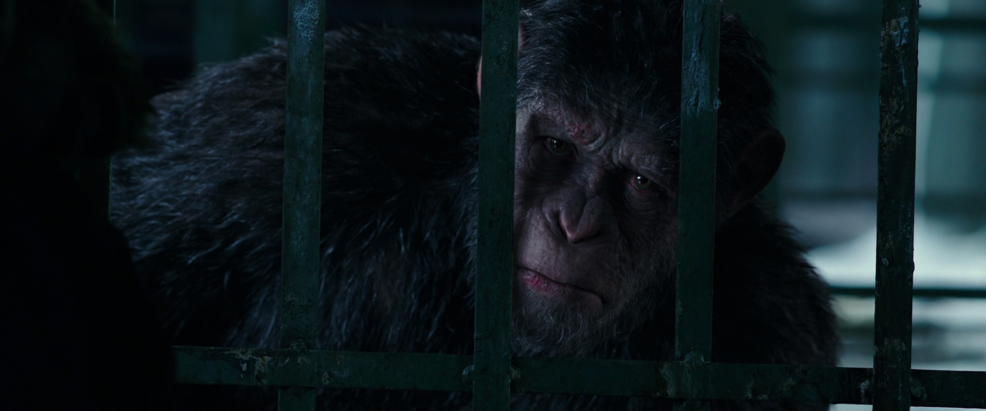 War for the Planet of the Apes (2017) HD screenshot 11000