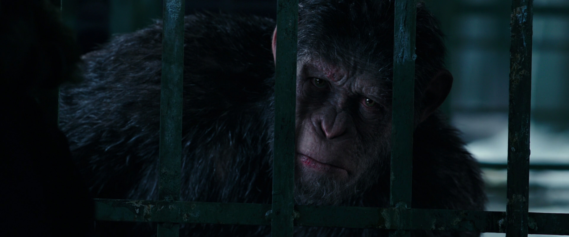War for the Planet of the Apes (2017) screencap 11001