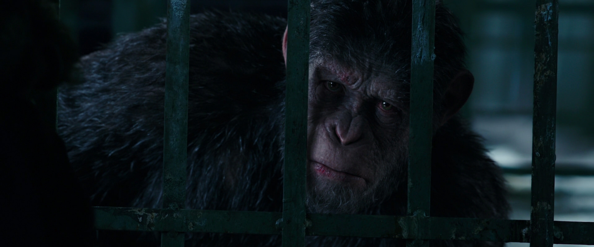 War for the Planet of the Apes (2017) movie still 11002