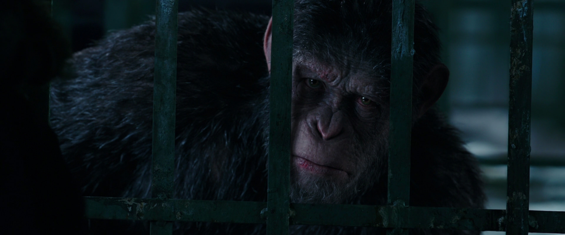 War for the Planet of the Apes (2017) HD screenshot 11003