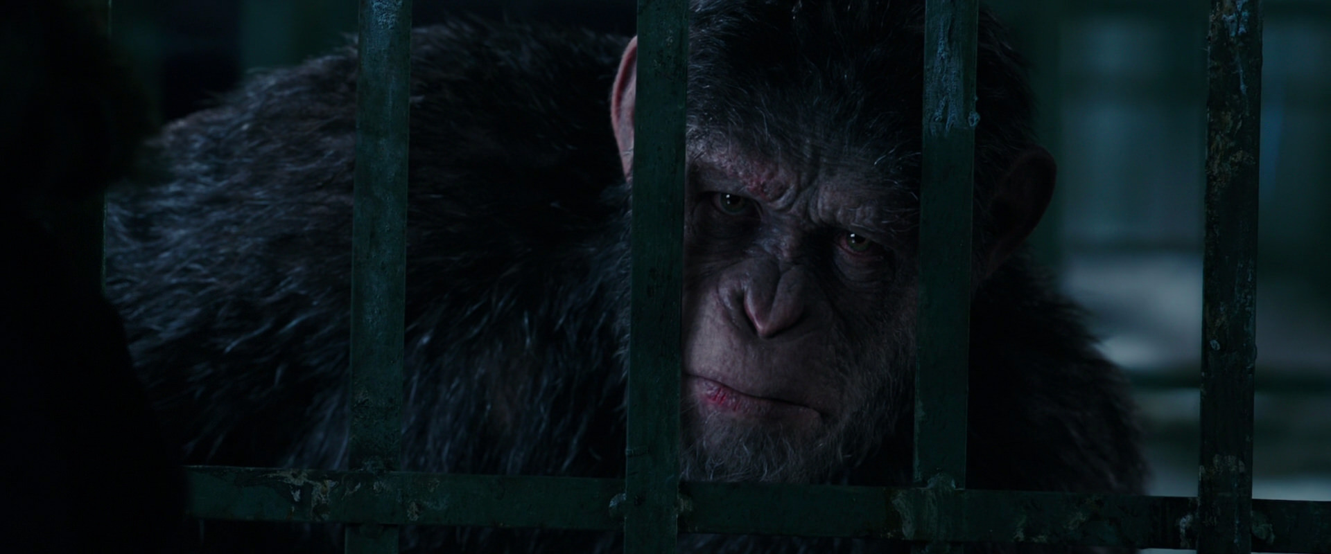 War for the Planet of the Apes (2017) screencap 11004