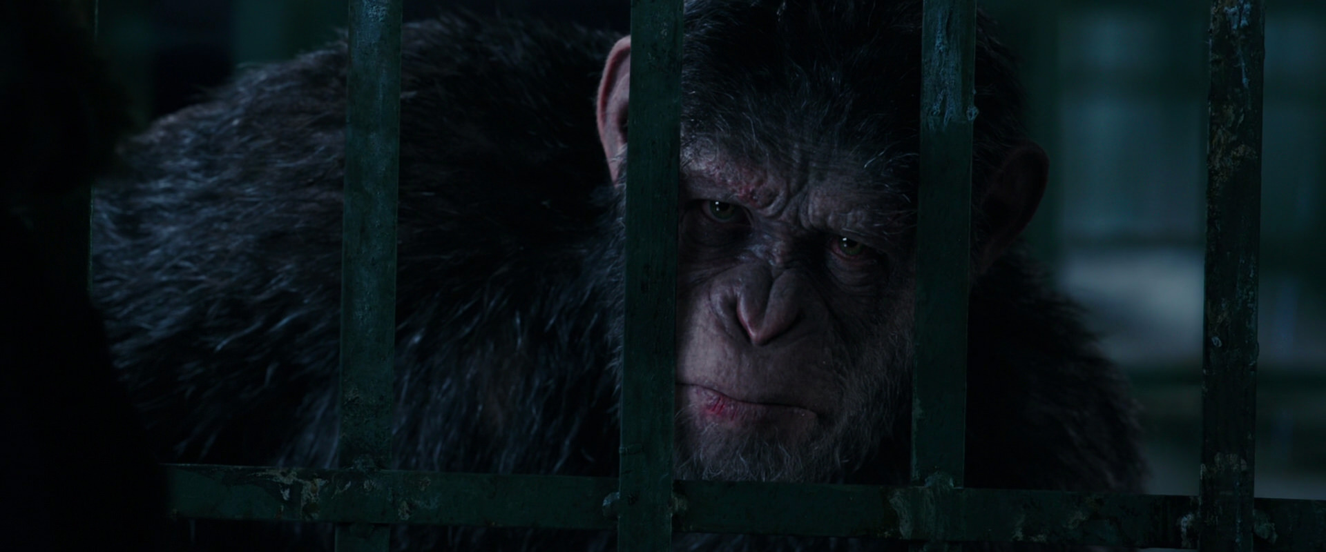 War for the Planet of the Apes (2017) movie still 11005
