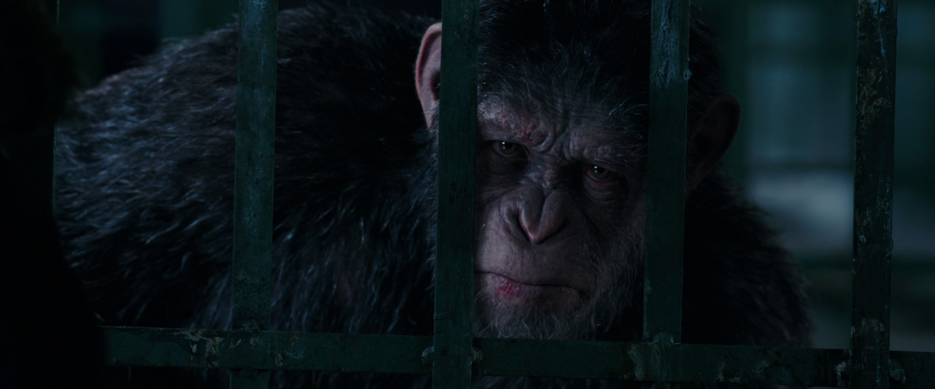 War for the Planet of the Apes (2017) HD screenshot 11006