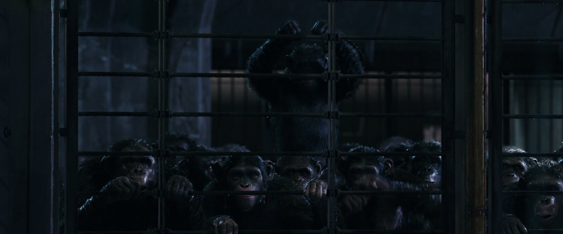 War for the Planet of the Apes (2017) screencap 11007