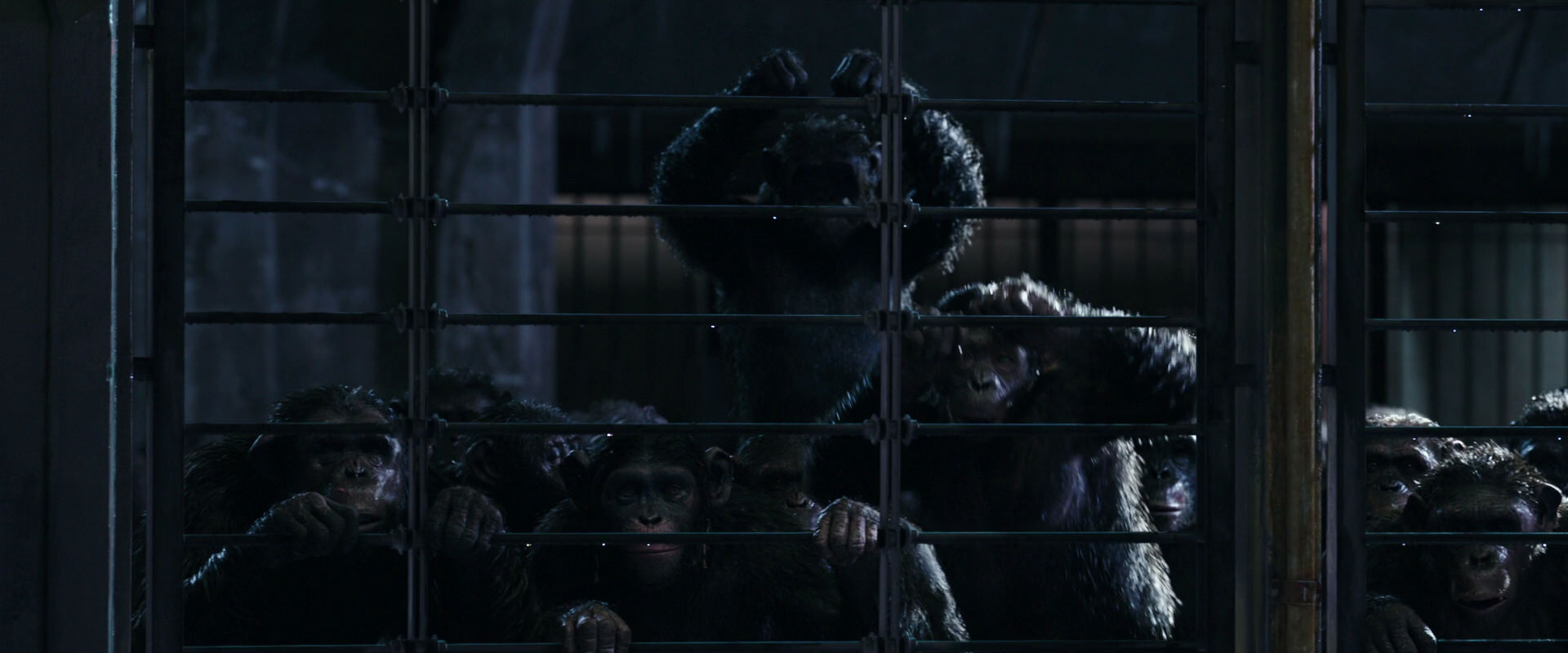 War for the Planet of the Apes (2017) movie still 11008